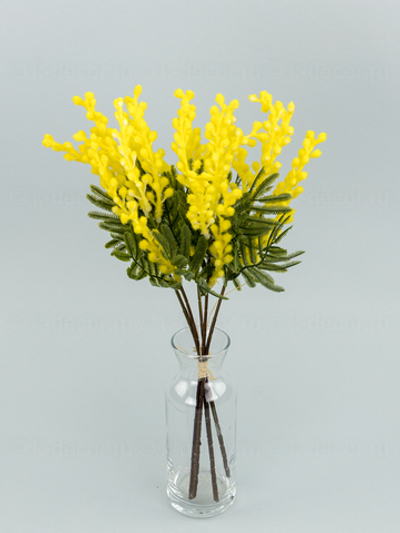 Срез мимозы Дружба