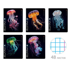 Тетрадь 48 л. БРУНО ВИСКОНТИ Медузы фентези (7-48-1331)