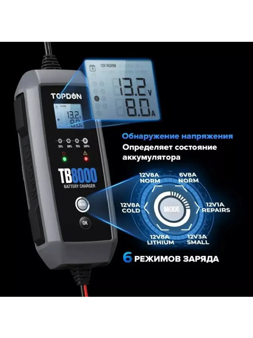Зарядное устройство TOPDON TB8000 (8A)