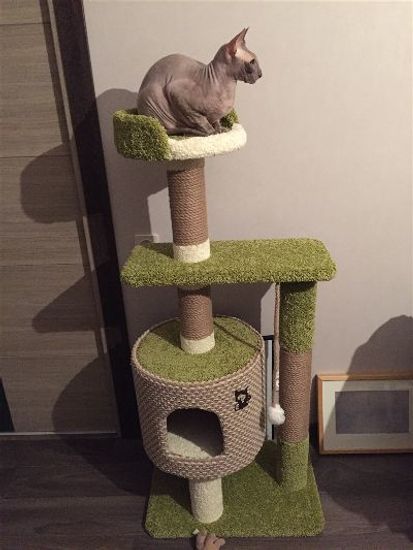 Домик для кота Д-2