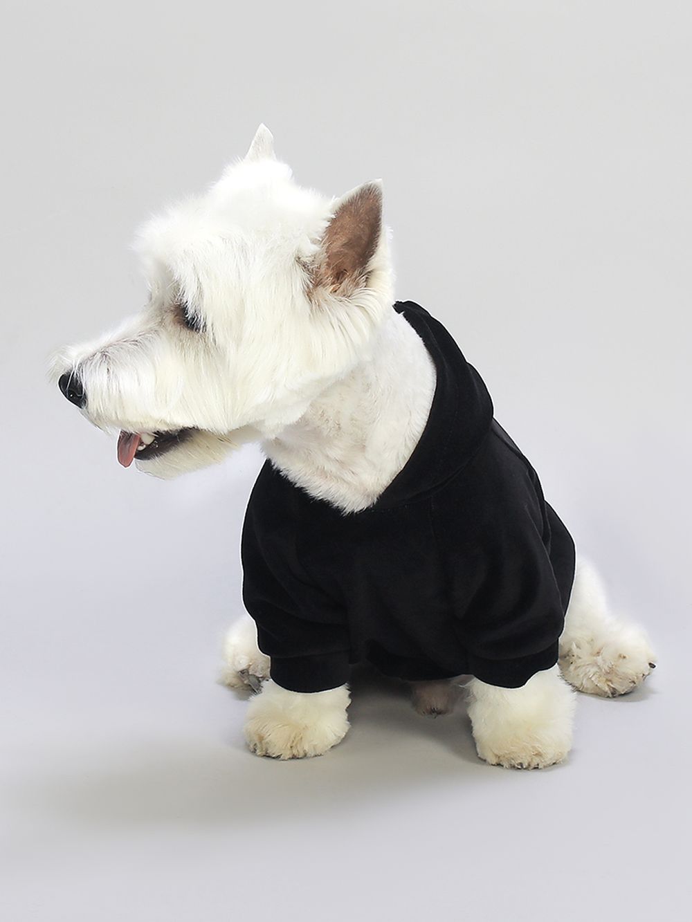 Худи для собак by Matsumura Dog Velour Черный