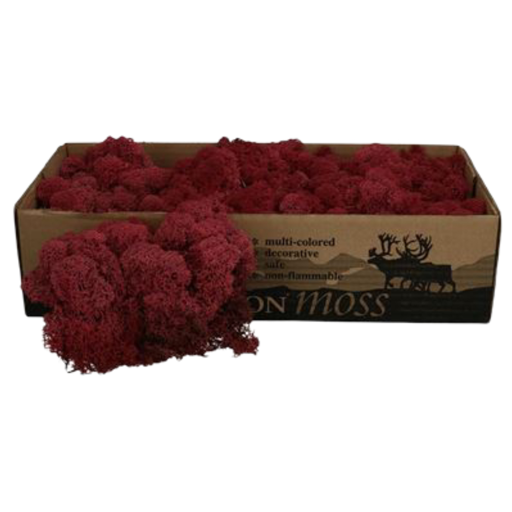 Мох ягель "Decoration" вишнёвый