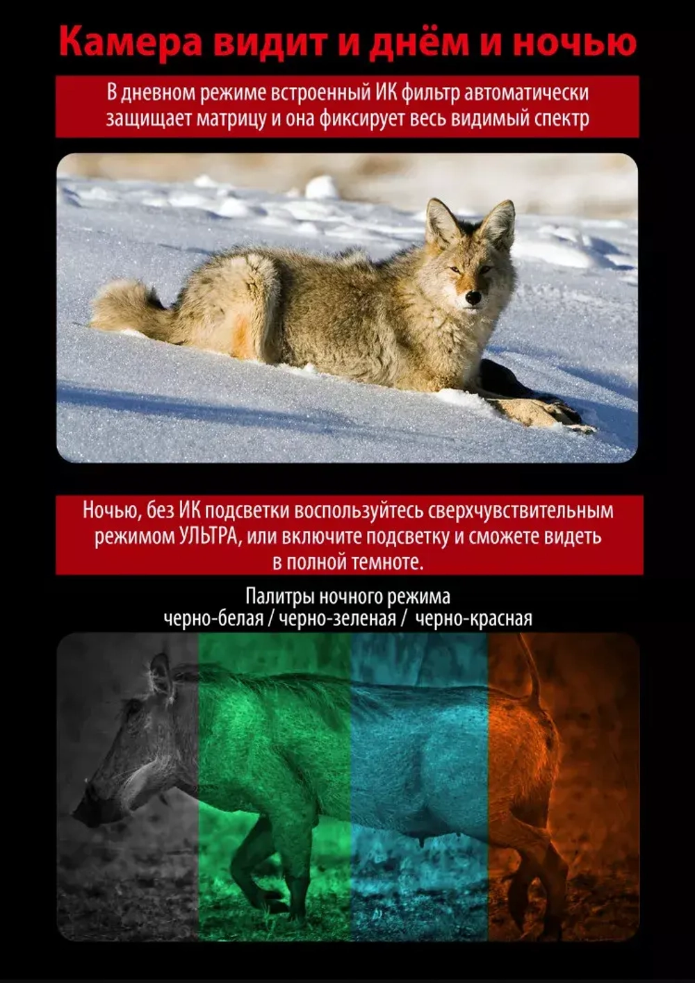 Цифровой бинокль день + ночь Sturman 6-36x50 B PRO