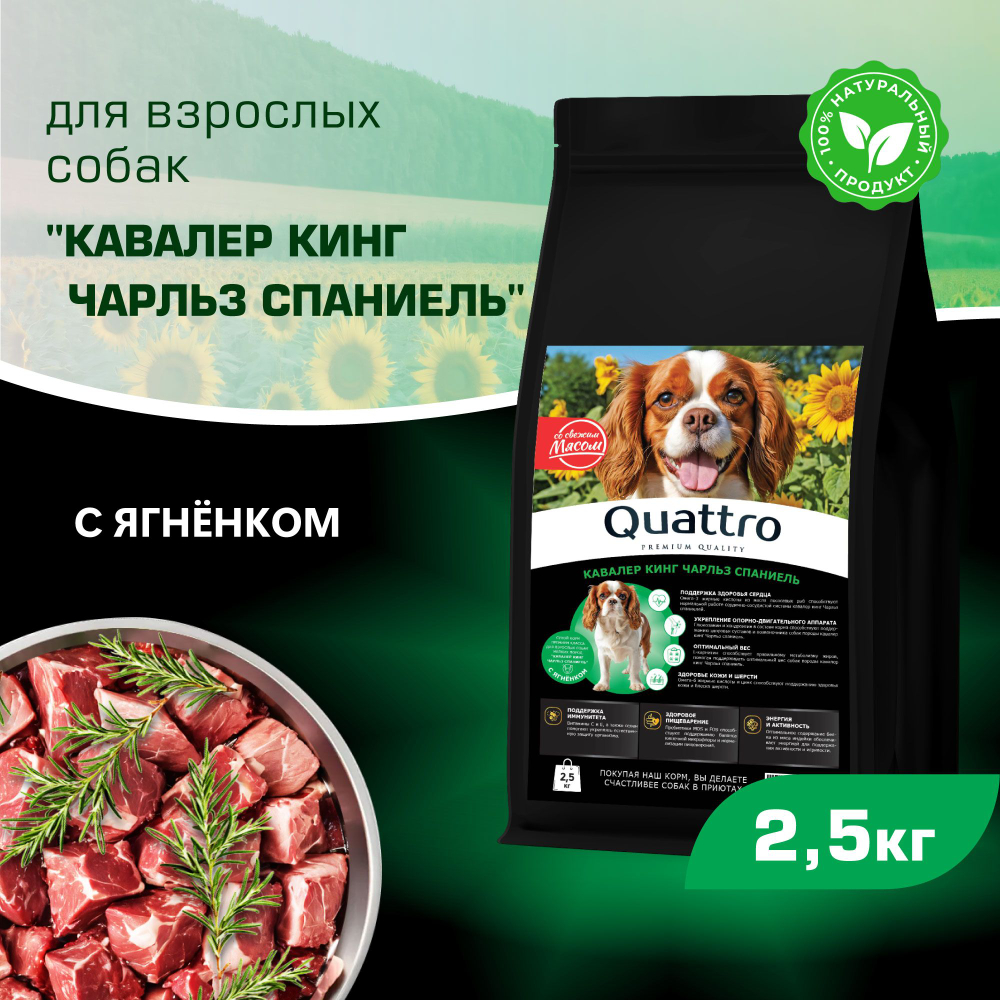 Корм сухой для взрослых собак породы Кавалер кинг Чарльз спаниель, с ягненком, 2,5 кг, QUATTRO