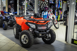 MOTOLAND ATV 200 MAX