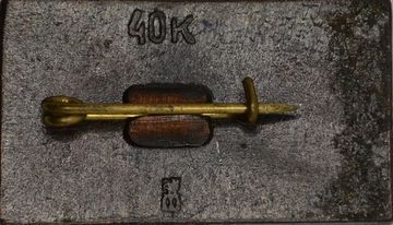 Значок "Саласпилс концлагерь" СССР, булавка