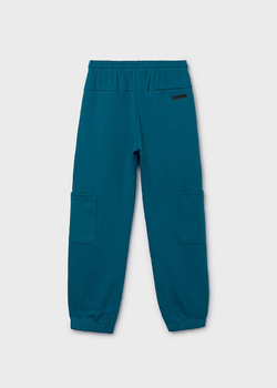 спортивные брюки