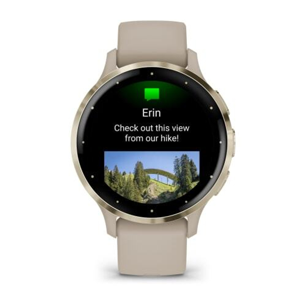 Смарт часы Garmin Venu 3S цвета "французский серый" с золотистым безелем
