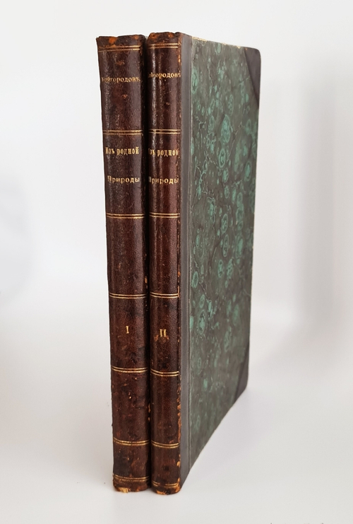 "Из родной природы". Д.Н.Кайгородов. 1907г.