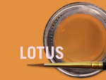 Краситель MiYO Trans Lotus от Jensen Dental