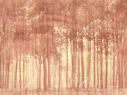 New Art, арт. RE153