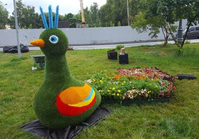 Топиарная фигура Павлин