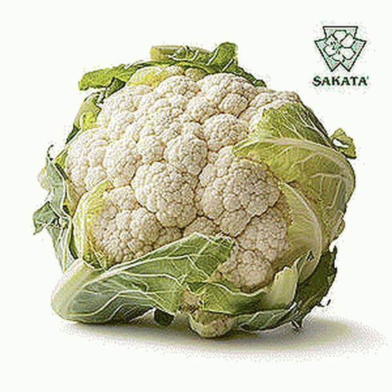 Кастор F1 семена капусты цветной (Sakata / Саката) – фото 2