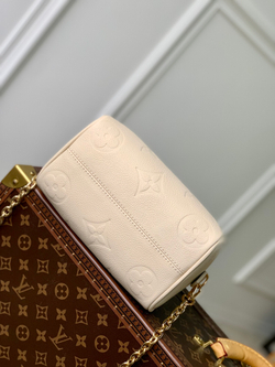 Louis Vuitton Speedy 20