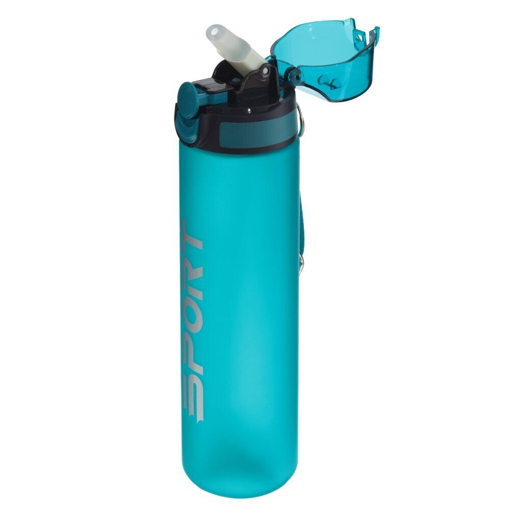 GAEM Бутылка, 800 мл, L7 W7 H26 см, 5в.