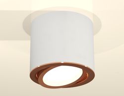 Ambrella Комплект накладного поворотного светильника MR16 Накладные XS7401005