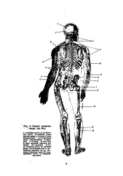 Конструирование одежды | Коротков Сергей Никифорович