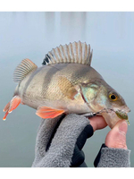 Слаги съедобные искусственные LJ Pro Series TRICK ULTRAWORM 2,0in (05.00)/S21 9 шт. в упак.