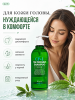 [ESTHETIC HOUSE] Шампунь для волос УСПОКАИВАЮЩИЙ CP-1 Tea Tree Mint Shampoo, 500мл