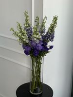 Дельфиниум фиолетовый