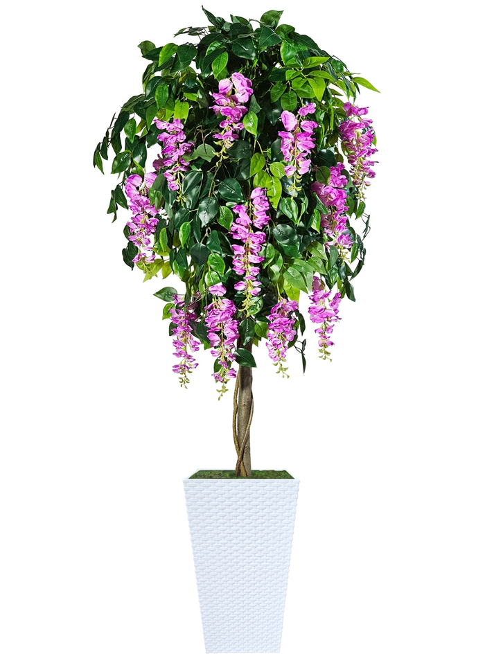 Искусственное дерево Глициния лиловая 180см в высоком белом кашпо ротанг