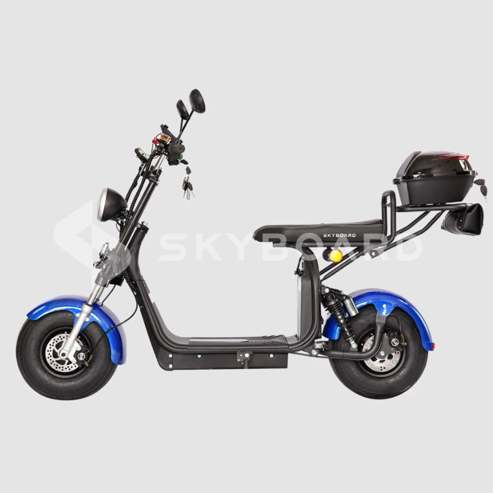Электроскутер CityCoco SKYBOARD BR20-2WD Синий