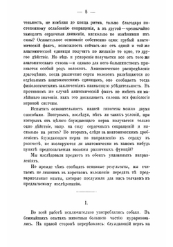 Центробежные нервы сердца | Павлов Иван Петрович