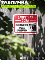 Табличка для частной территории "Запретная зона, мониторинг видеокамерами", на дом, для участка, организаций и частных территорий, предупреждающая, 40х30 см, Silver Plane x Айдентика Технолоджи