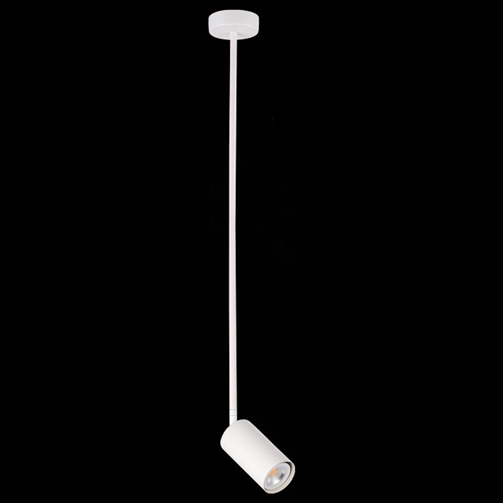 Светильник на штанге ST-Luce SL1206.503.01