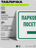 Табличка для частной территории "Парковка для посетителей", на дом, для участка, организаций и частных территорий, предупреждающая, 40х30 см, Silver Plane x Айдентика Технолоджи