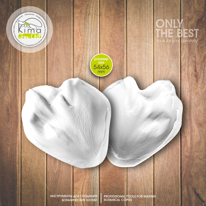 Пион рубашка лепесток средний