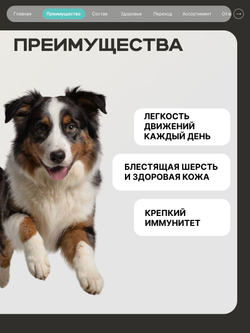 Корм сухой для собак средних и крупных пород, забота о суставах, с кроликом, 3 кг, QUATTRO