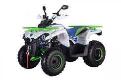 Квадроцикл ROCKOT HAMMER 200 Premium