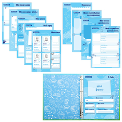 Папка-портфолио школьника "ОТЛИЧНИК", 4 кольца, 20 файлов, 10 вкладышей, 7БЦ матовая, BRAUBERG, 115240