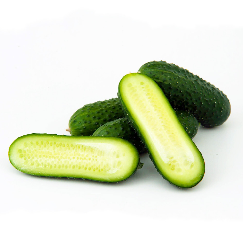 Стартап F1 семена огурца партенокарпического (Гавриш)