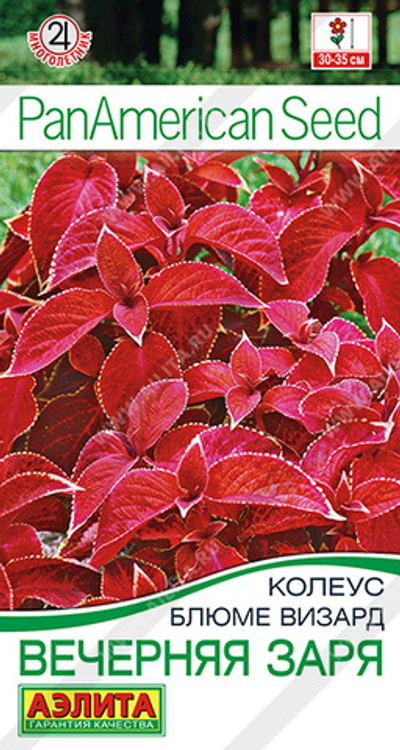 Колеус блюме Вечерняя заря 5 шт (Аэлита)