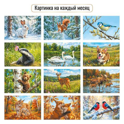 Календарь отрывной на магните 2027 "Животные" 10336 (Квадра)