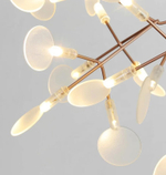Pendant design lamp  Heracleum  Big O by Moooi (Brass,  D72)