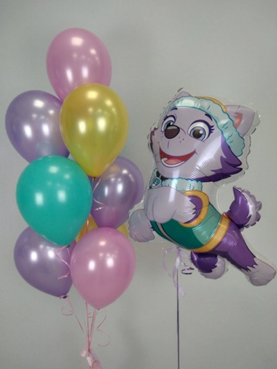 Эверест спасатель (Щенячий патруль)