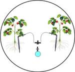 Комплект для полива "Мини - 200" (точечный полив, 200 растений)