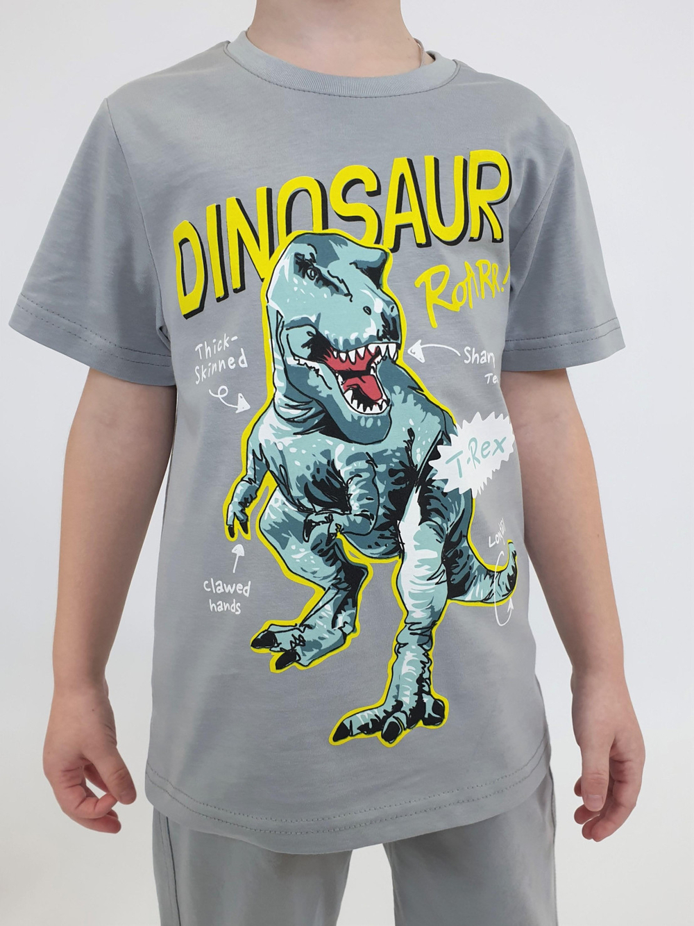 01-131-6 Костюм для мальчика (фуфайка+шорты)