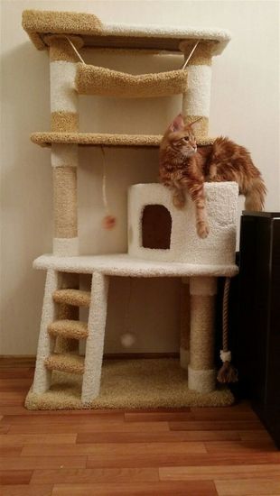 Игровой комплекс для кошек КИСМИТ И-8