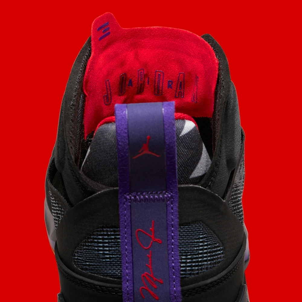 Jordan 37 Raptors