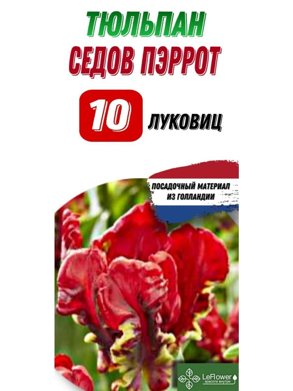 Тюльпан Луковица, Седов Пэрроте, 10шт