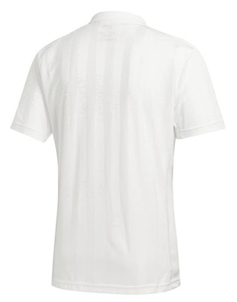 Мужское теннисное поло Adidas Freelift Polo ENG M - белый