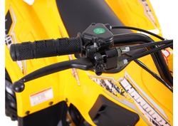 Квадроцикл SHARMAX 130 Cross