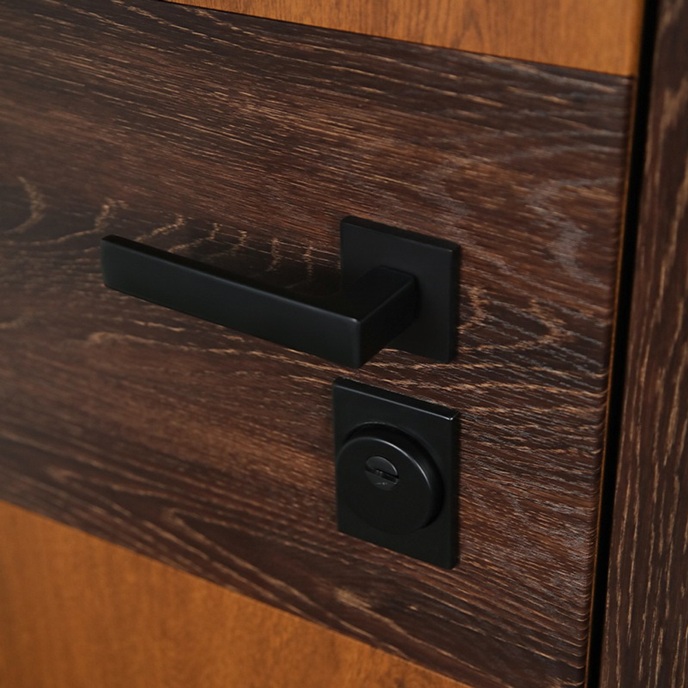 Стальная дверь "Денвер" (адаптивная замковая часть). Заказная модель.