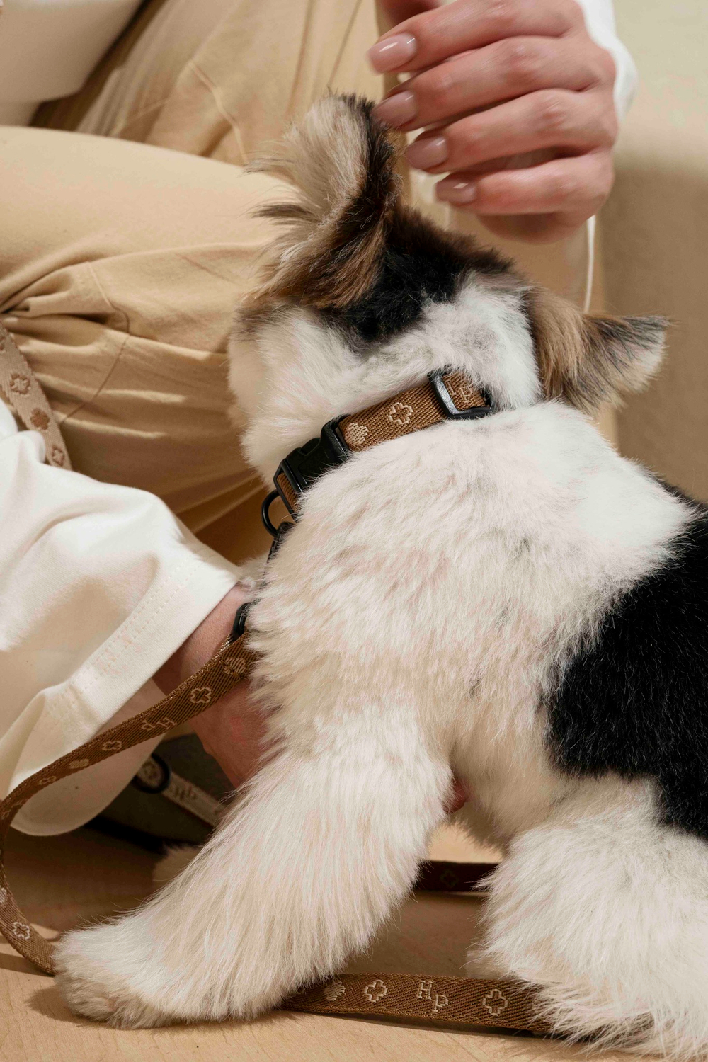 Ошейник "Пони-Компаньони" Mini, рыжий