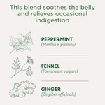 Traditional Medicinals, Organic Belly Comfort, перечная мята, без кофеина, 16 чайных пакетиков в упаковке, 28 г (0,99 унции)