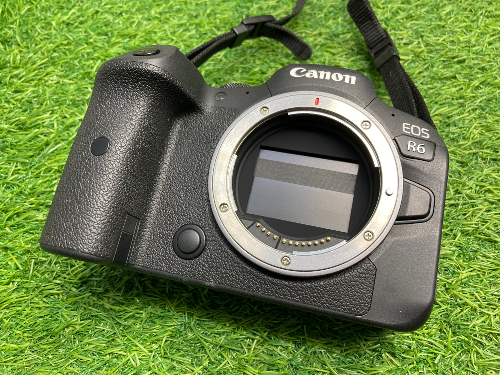 Canon EOS R6